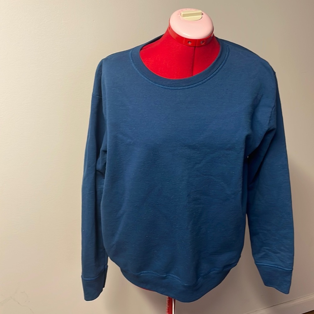 Hanes L blue sweater
